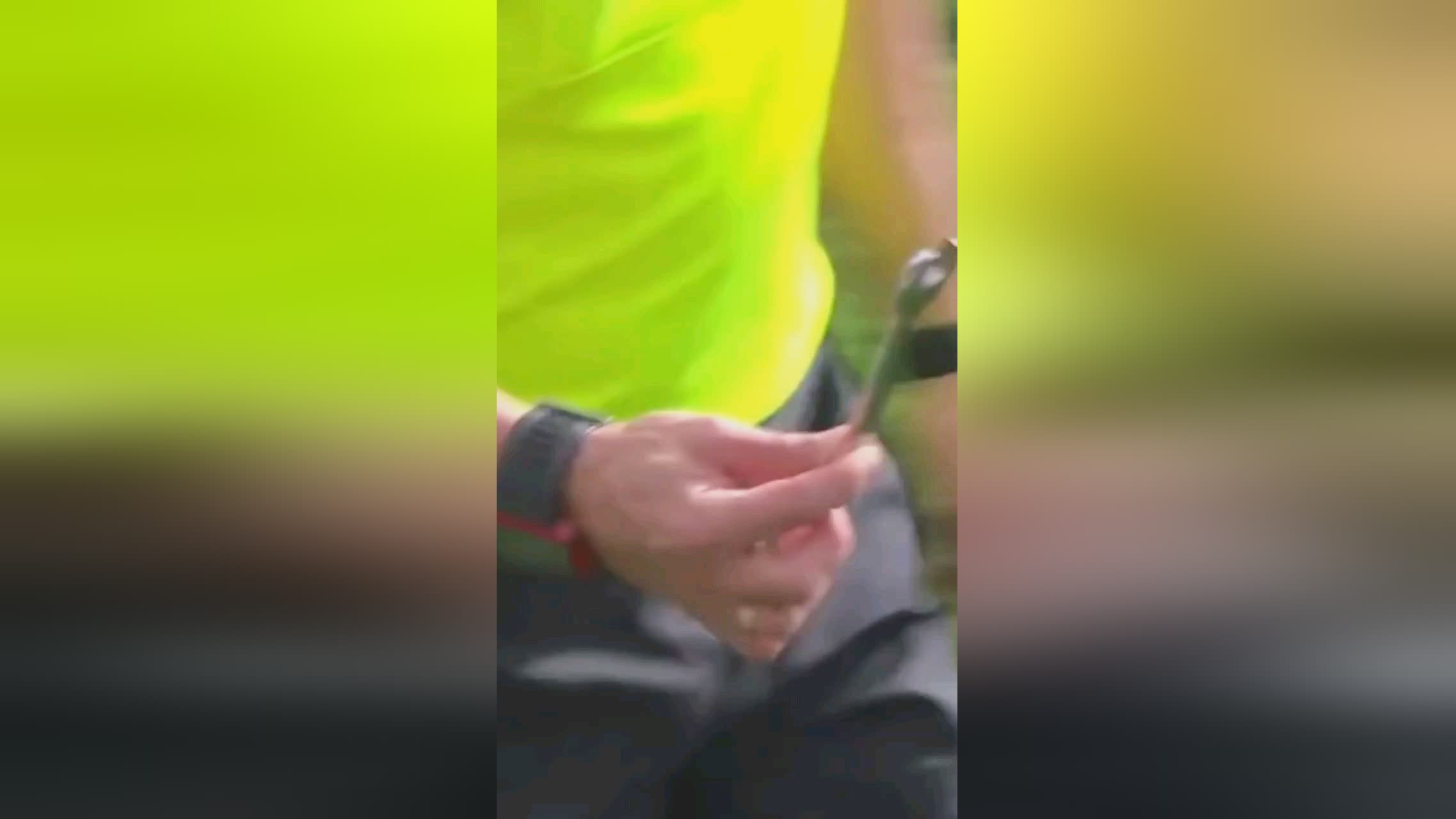 过归化如